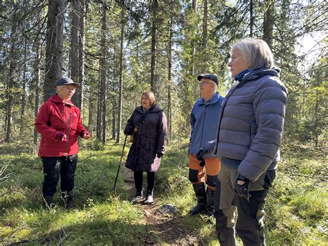  Yuhangvuori: Taivashanhistorian ja luontoarvot yhdistävänä nähtävyytenä!